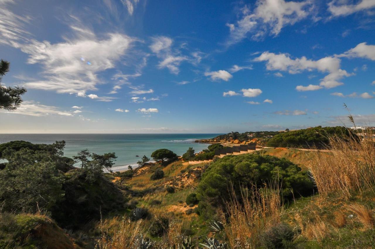 Casa Da Bia By Ocvillas Αλμπουφέιρα Εξωτερικό φωτογραφία